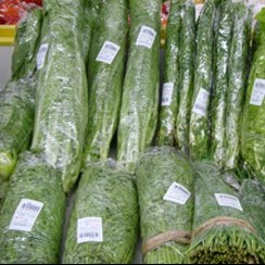 生菜香菜茼蒿茴香菠菜油麦菜