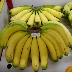 天天特价—香蕉
