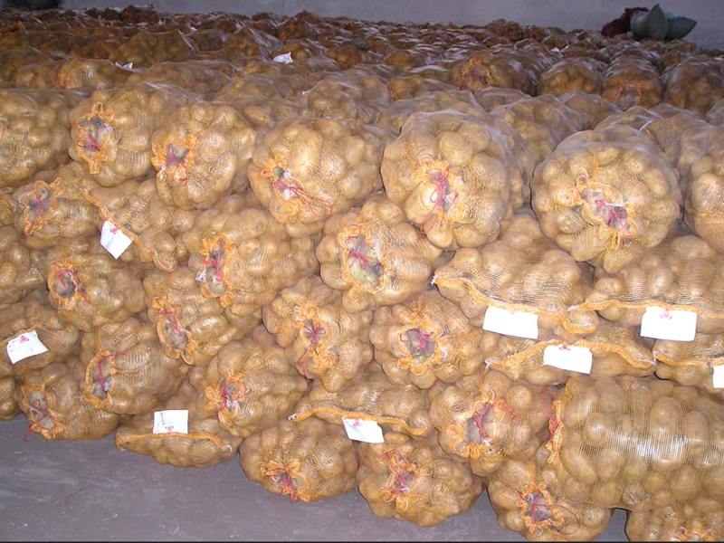 1土豆储存 马铃薯储藏保鲜技术